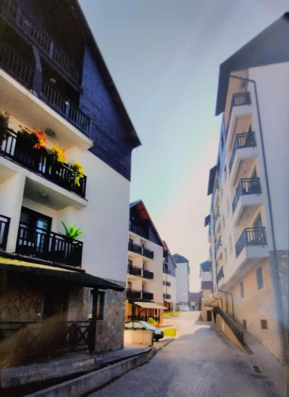 Beli Apartman U Zlatiborskim Konacima Bele Vode Bb Eksteriør billede